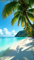 Serene Philippine beach; swaying palms reflect sunlight on tranquil turquoise water , idyllic, relax