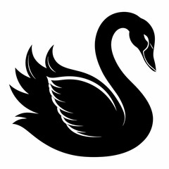 Obraz premium Elegant Raccoon Line Drawing