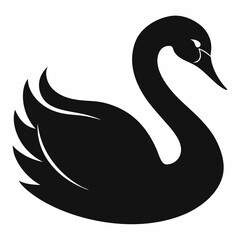 Elegant Raccoon Line Drawing