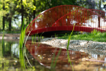Wiosenny park z tężnią w Czechowice dziedzice, Śląsk. © Elżbieta Kaps