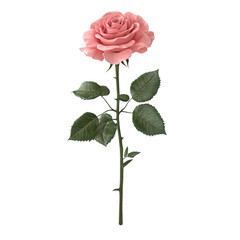 Obraz premium Pink rose with green leaves against a colorful striped background