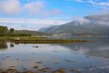 Summer Norwegian landscape