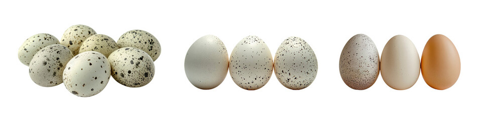 Fototapeta premium Collection of quail eggs and chicken eggs in various shades and patterns, isolated on a transparent background.