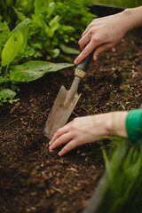 Eco-Friendly Lifestyle: Woman Planting in Backyard Garden