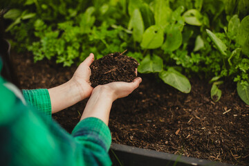 Eco-Friendly Lifestyle: Woman Planting in Backyard Garden