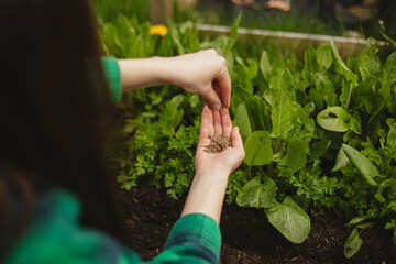 Eco-Friendly Lifestyle: Woman Planting in Backyard Garden