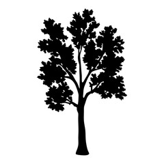 Obraz premium Isolated black tree silhouette vector illustration for nature and landscape designs project