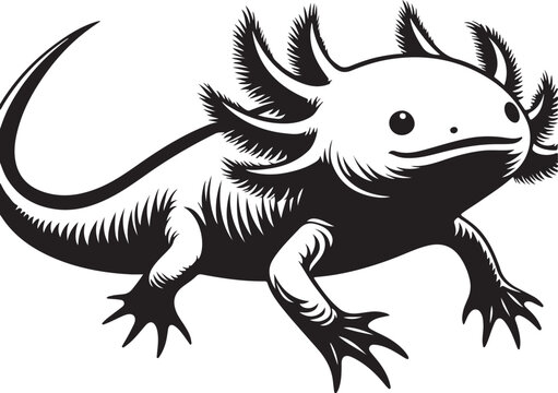 a axoloti vector