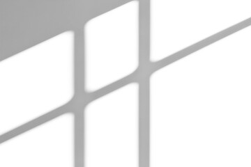 hadow overlay effects of realistic window and tree branch shadow with light blur on transparent background,Summer sunlight and shadow overlay effect,shadow for photo interior backdrop wall floor