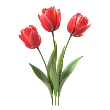 recommend clip art: Red tulips bouquet floral design spring flowers nature art colorful background
