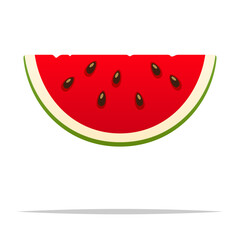 Watermelon slice vector isolated illustration