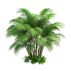 Obraz premium Lush green palm tree isolated on white background with colorful abstract lines