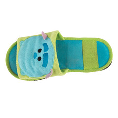 Home slippers cartoon isolated on white background