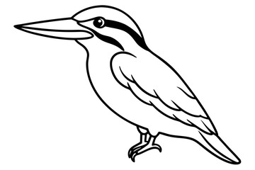 Obraz premium Graceful Kingfisher