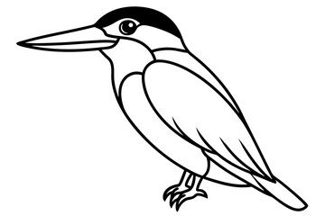 Obraz premium Graceful Kingfisher