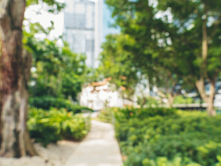 Blur background green park garden nature bright sunny forest. Blurry outdoor park in springtime glowing shiny day template with sunlight bokeh. Abstract blurred background banner copy space.