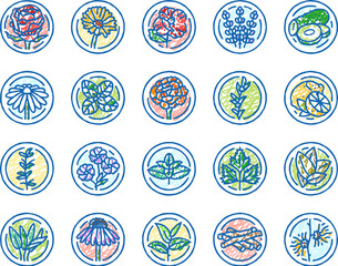 plant natural cosmetic green icons hand drawn