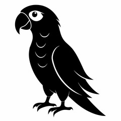 Flat Black Parrot Vector