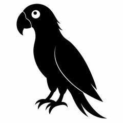 Fototapeta premium Flat Black Parrot Vector