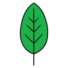Hand drawn cartoon green leaf on white background.