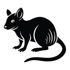 Obraz premium Armadillo Silhouette on white background