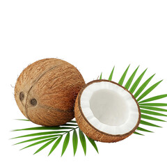 Close-Up of Whole and Halved Coconuts with Green Leaves on White Background
