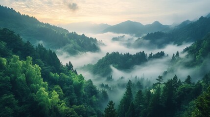 Serene misty mountain landscape with lush green forests and rolling hills fog sky view calm wild