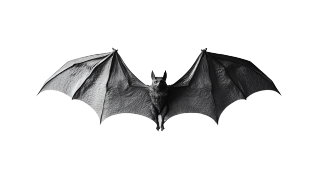 Bat Flying Isolated on White Background for Unique and Striking Animal Illustration