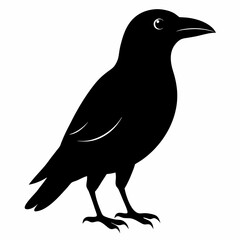 Obraz premium Flying Crow Silhouette Design
