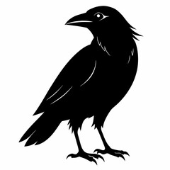 Obraz premium Flying Crow Silhouette Design