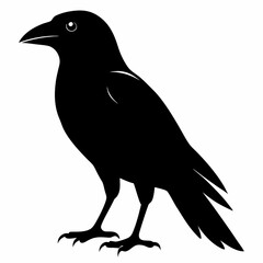 Flying Crow Silhouette Design