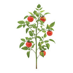 Vibrant tomato plant with colorful abstract background