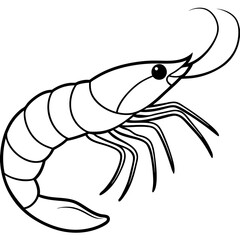 Elegant Shrimp Outline Vector Design