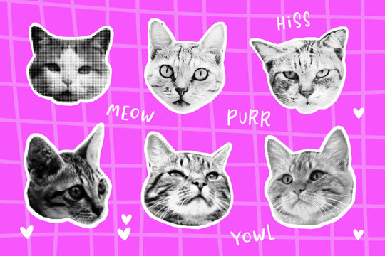 Cat faces collage set in halftone style. Retro Vibe and Urban Aesthetic. Trendy Digital Art Concepts. Grunge punk collection. Dotted pop art style. Y2k collage design