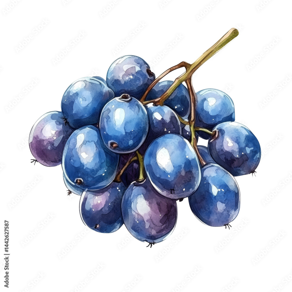 Poster watercolor grape illustration displaying a bunch of juicy grapes on a clean background