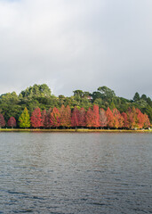 Sao Bernardo Lake in Autumn. Tourist destination in Sao Francisco de Paula, South of Brazil