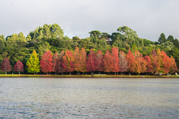 Sao Bernardo Lake in Autumn. Tourist destination in Sao Francisco de Paula, South of Brazil