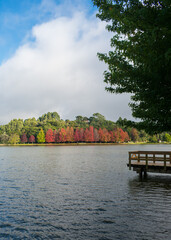 Sao Bernardo Lake in Autumn. Tourist destination in Sao Francisco de Paula, South of Brazil