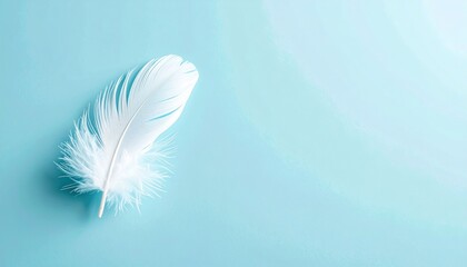 Fototapeta premium Delicate white feather on soft blue background studio shot minimalist art calm environment close-up view concept of lightness