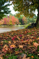 Sao Bernardo Lake in Autumn. Tourist destination in Sao Francisco de Paula, South of Brazil