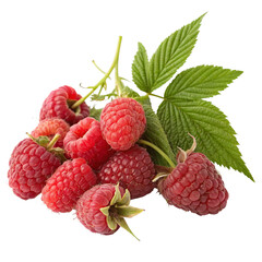 raspberries with leaves isolated on white or transparent png