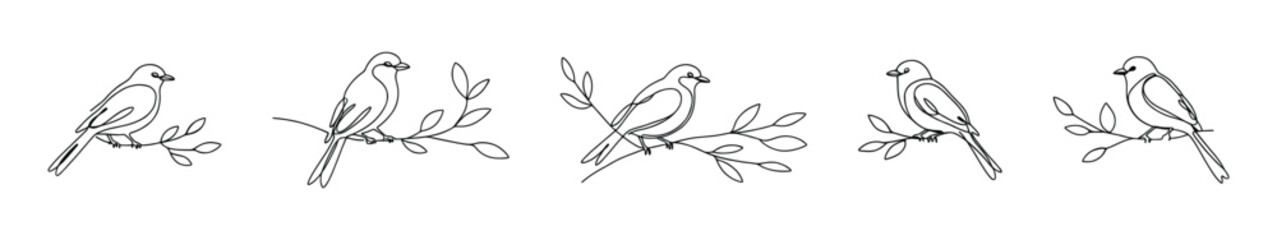 Obraz premium Birds on branch continuous one line drawing. Robin bird.
