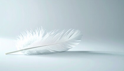 Obraz premium Delicate feather falling gracefully on soft surface minimalist composition serene environment close-up view artistic concept
