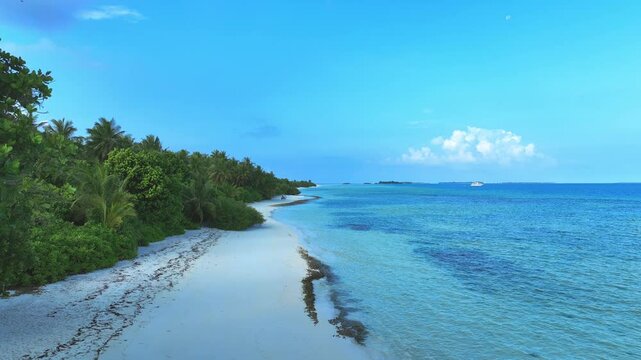 Maldives Islands Ocean Tropical with white sand Beach 