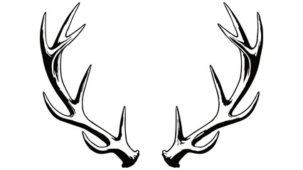 A black and white hand-drawn illustration of symmetrical deer antlers. The rustic and detailed design symbolizes nature, wilderness, and hunting, ideal for logos, decor, and outdoor-themed art.
