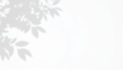 Nature-inspired tranquility soft leaves casting shadows on a white background minimalist style calm environment abstract viewpoint