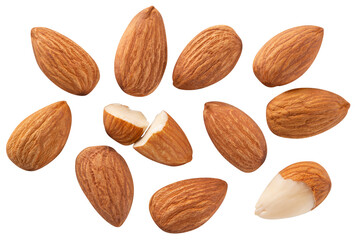 Almond nut isolated png. Almond nuts on white or transparent background. Perfect retouched almonds no background top view. Almond collection. Transparent png. Full depth of field.