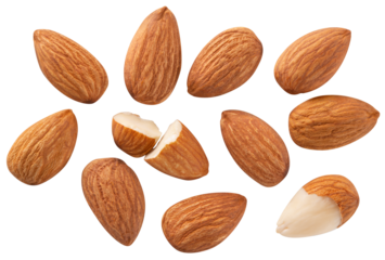 Almond nut isolated png. Almond nuts on white or transparent background. Perfect retouched almonds no background top view. Almond collection. Transparent png. Full depth of field.