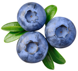Obraz premium Blueberry isolated png. Blueberry with leaves top view on transparent background. Perfect retouched blueberry with leaf no background. three png blueberries. Full depth of field.