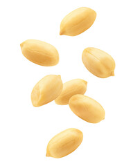 nuts isolated on white
